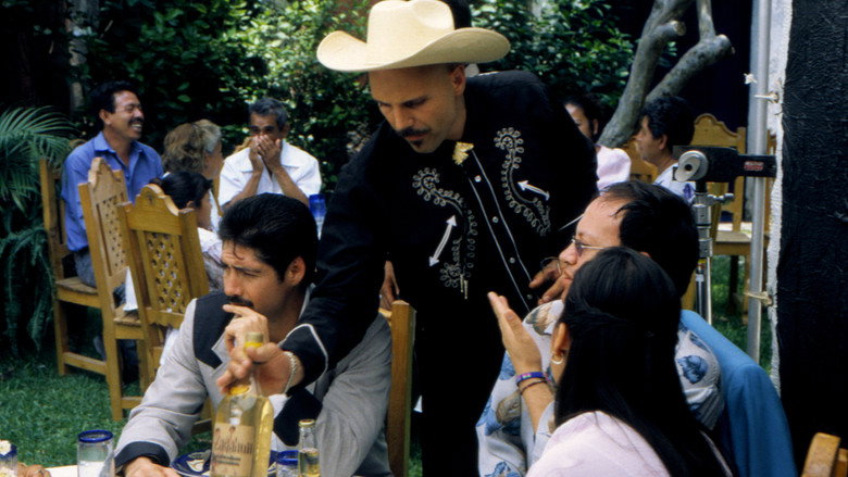 Huapango still 8