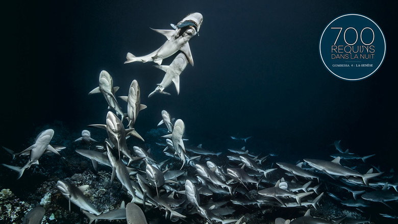 700 Sharks (Gombessa 4, Genesis) still 2