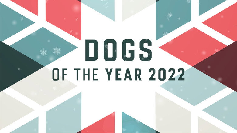 Dogs of the Year still 2