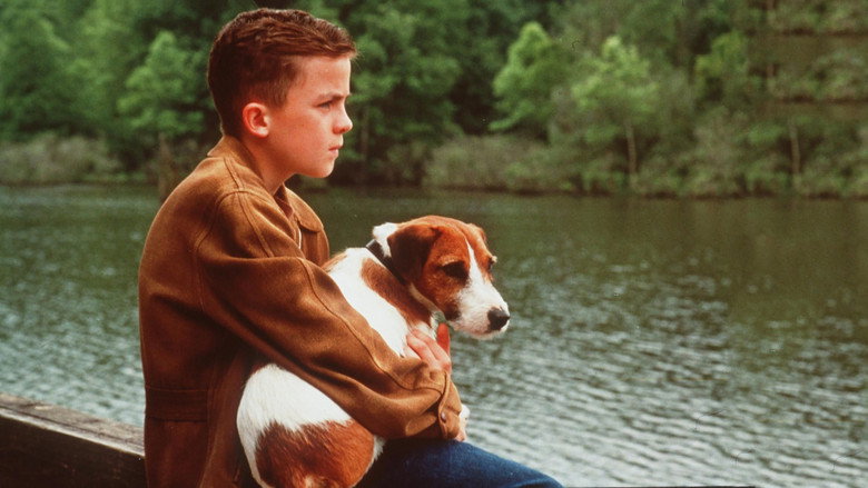 My Dog Skip still 4