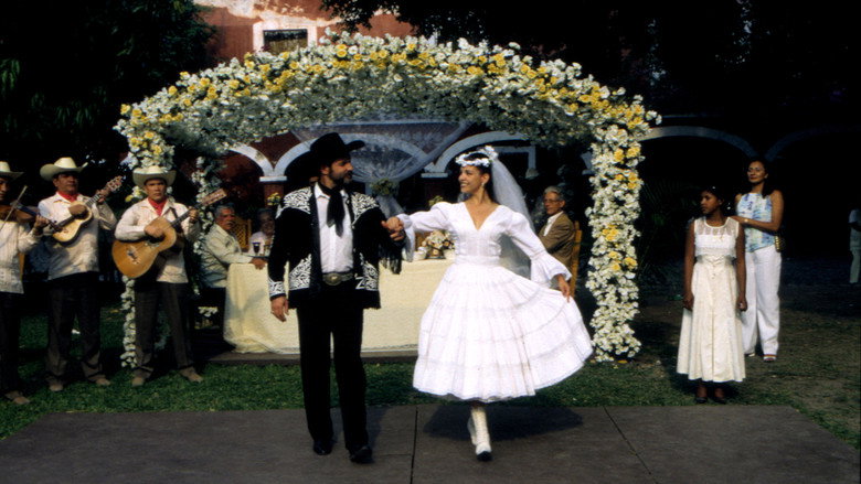 Huapango still 5