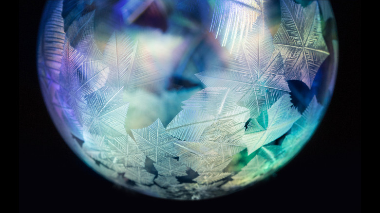 Forces of Nature with Brian Cox still 1