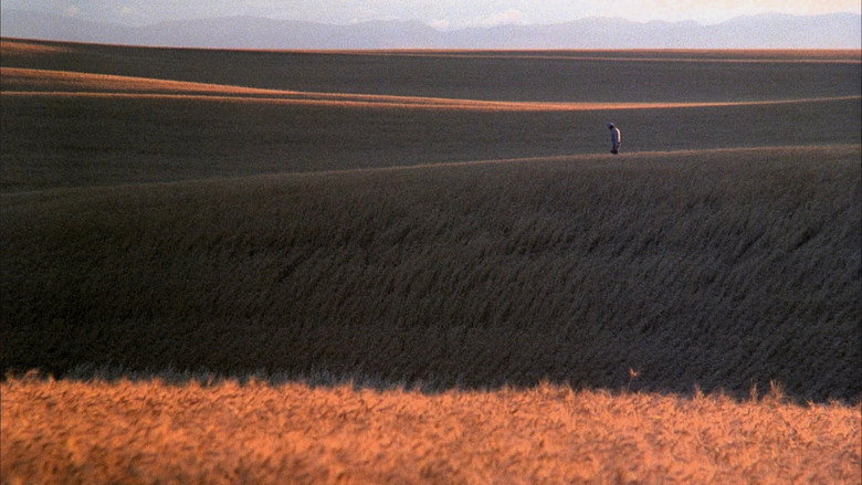 Days of Heaven still 8