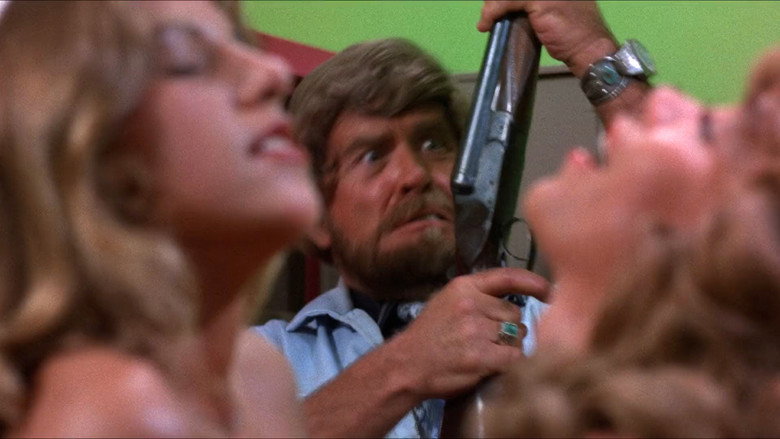 Beneath the Valley of the Ultra-Vixens still 7