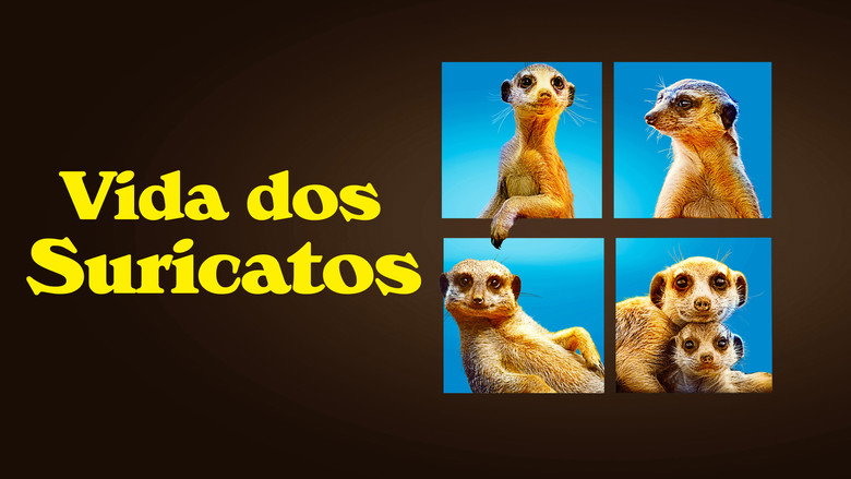 Meet The Meerkats still 2