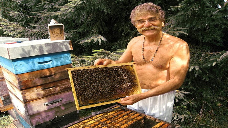 Queen of the Sun: What Are the Bees Telling Us? still 3