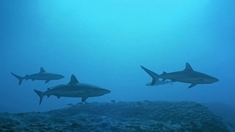 Atlantis still 1