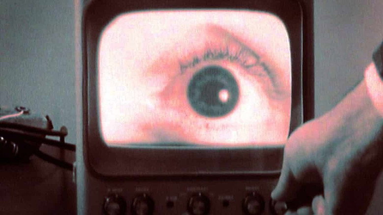 All Watched Over by Machines of Loving Grace still 3