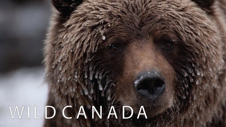Wild Canada still 5