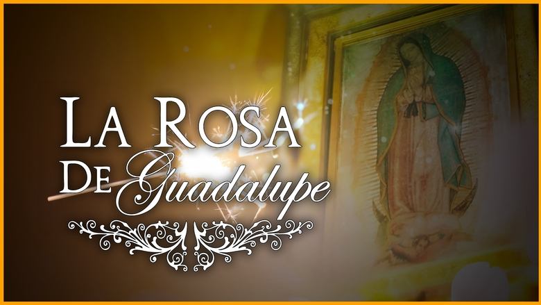 La rosa de Guadalupe still 3