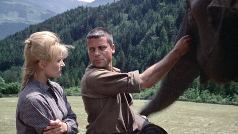 Hannibal Brooks still 5