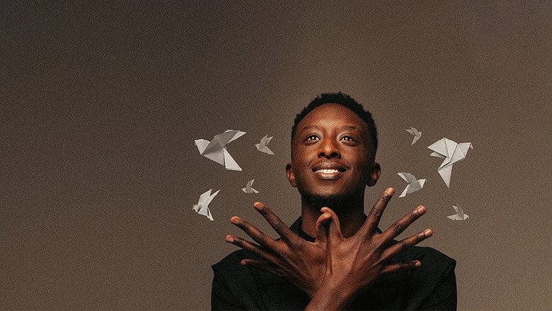 Ahmed Sylla - Origami still 3
