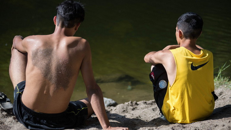 Guacho still 3