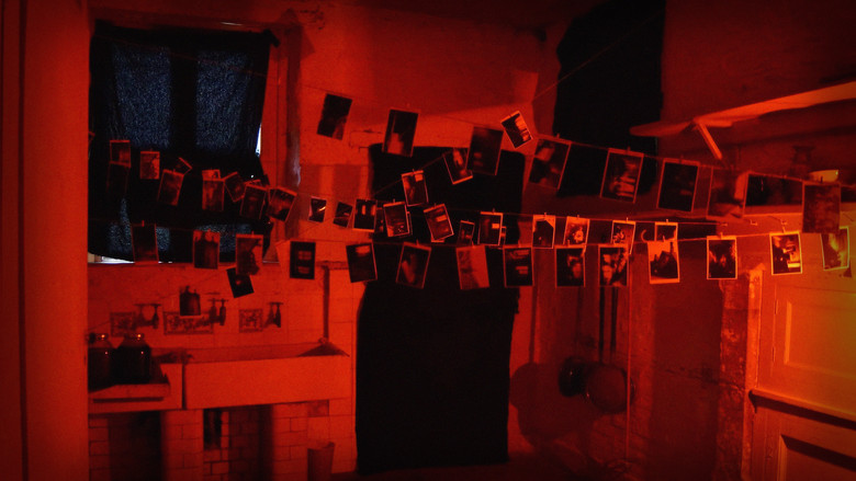 Shutter still 7