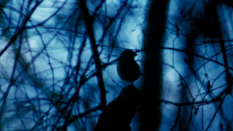 The Legend of Boggy Creek still 5
