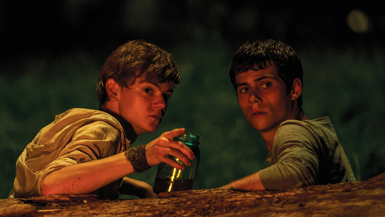 The Maze Runner still 3