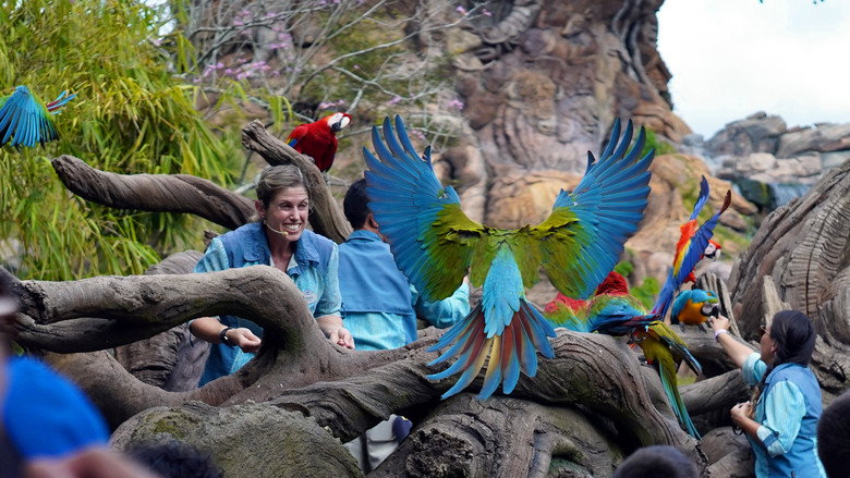 Magic of Disney's Animal Kingdom still 3