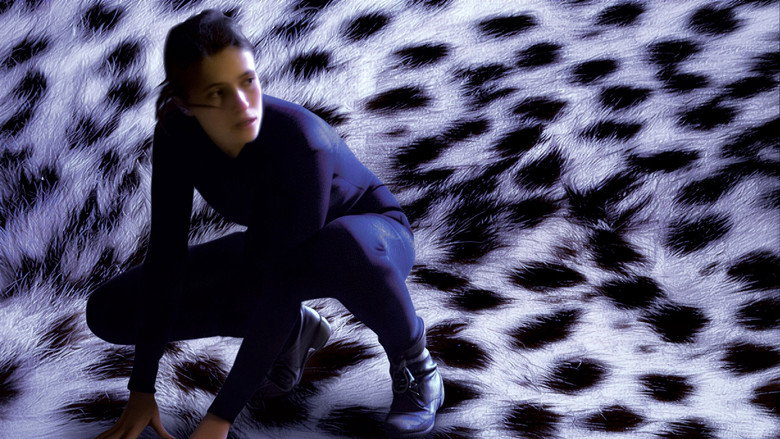 The Burglar still 2