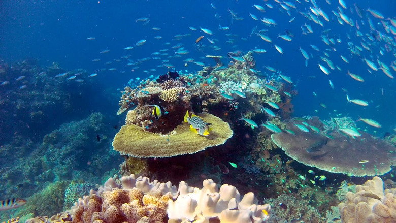 Great Barrier Reef with David Attenborough still 1
