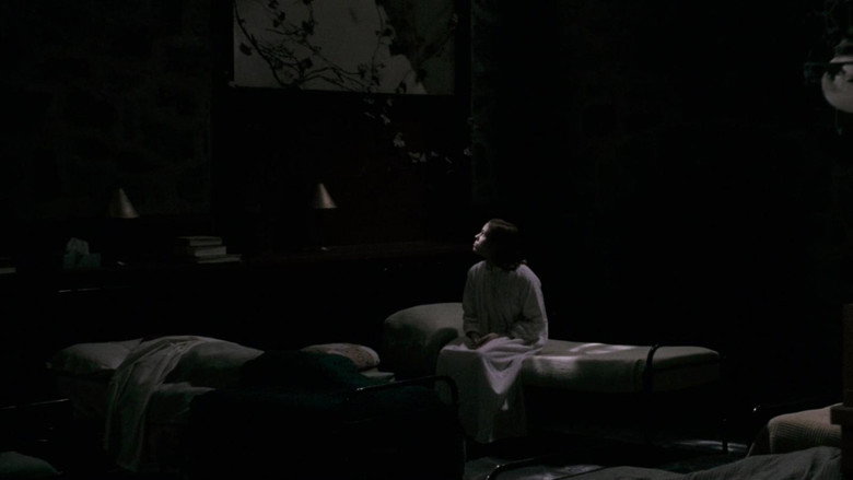 The Woods still 4