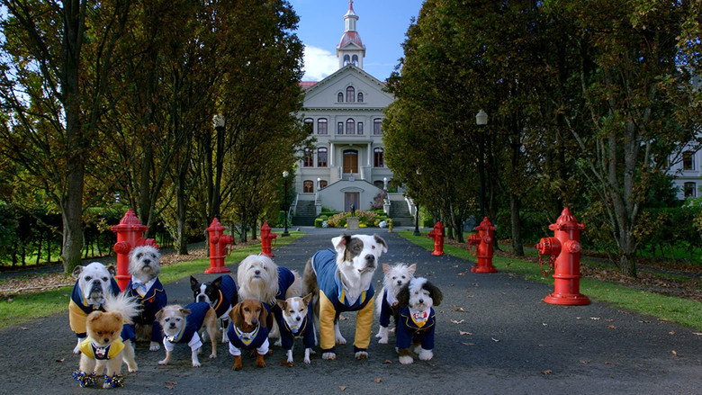 Pup Academy still 5