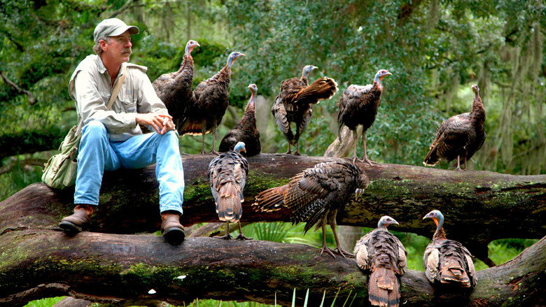 My Life as a Turkey still 2