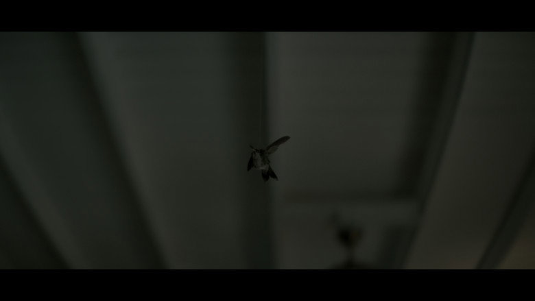 Túmulo still 2