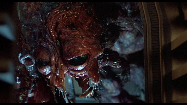 The Fly still 8