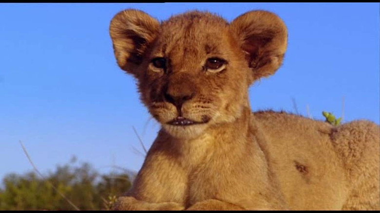 Pride still 1