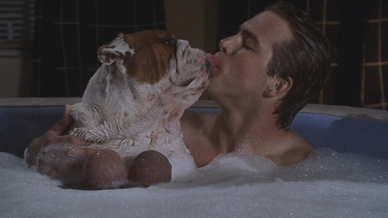 National Lampoon's Van Wilder still 4