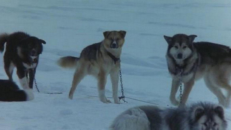 Antarctica still 2