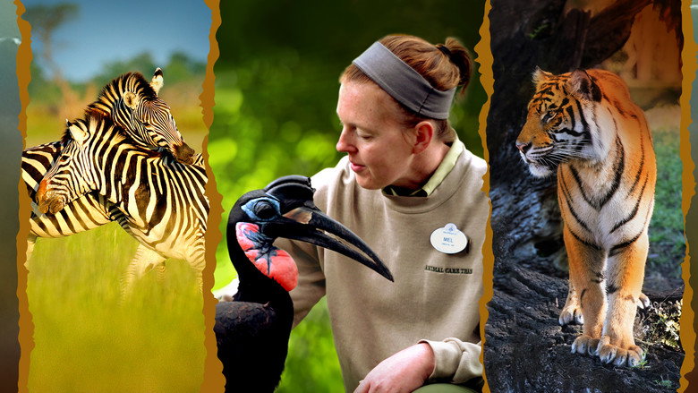 Magic of Disney's Animal Kingdom still 1