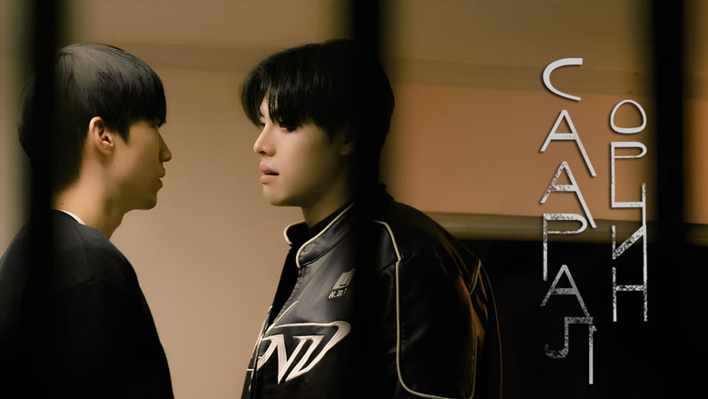 Gray Shelter still 8