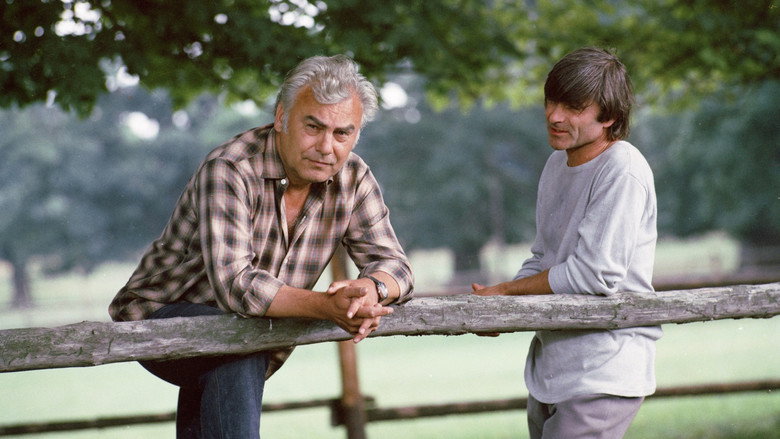 Dobrá Voda still 2