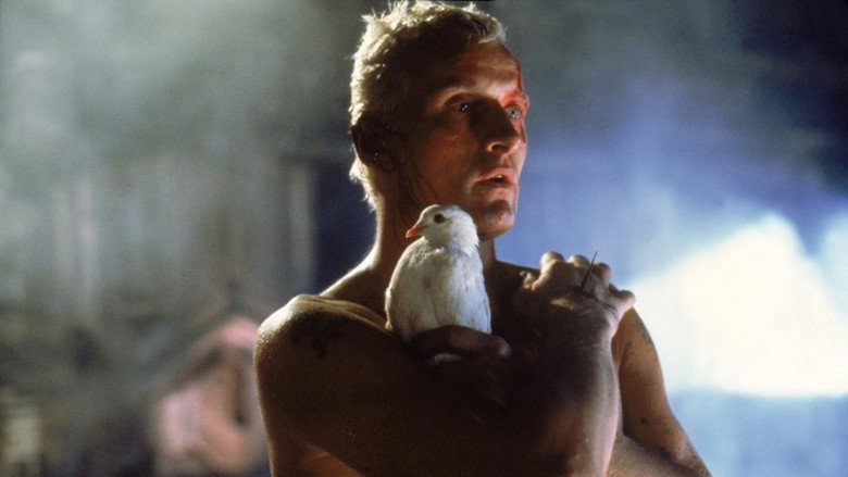 The Blade Runner Phenomenon still 2