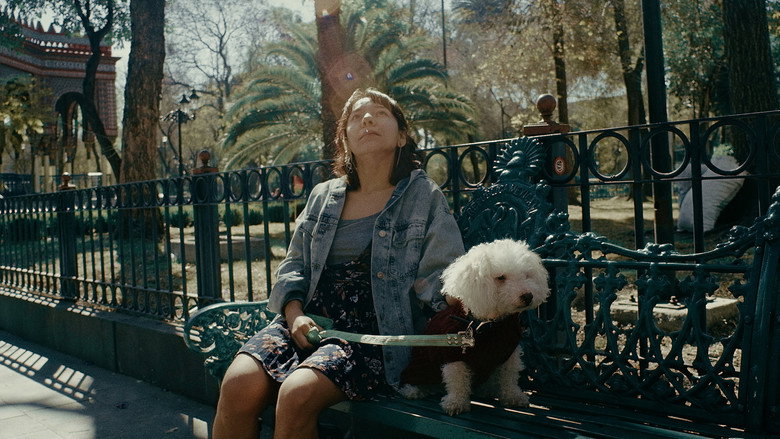 Demian still 3