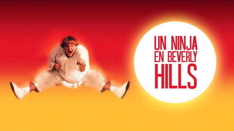Beverly Hills Ninja still 7