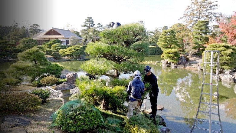 Chasing Perfection: Four Seasons with Japan's Master Gardeners still 2