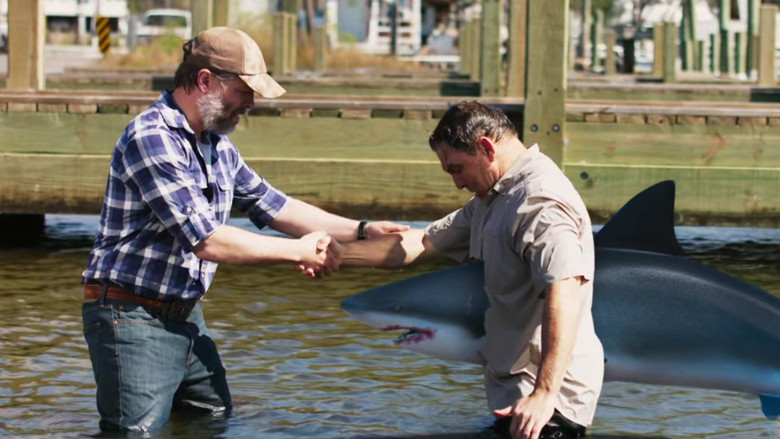 Mississippi River Sharks still 2