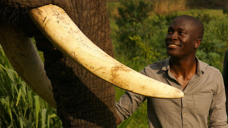 Super Senses: The Secret Power of Animals still 1