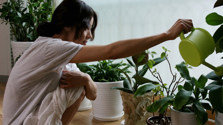 Vegetarian still 3