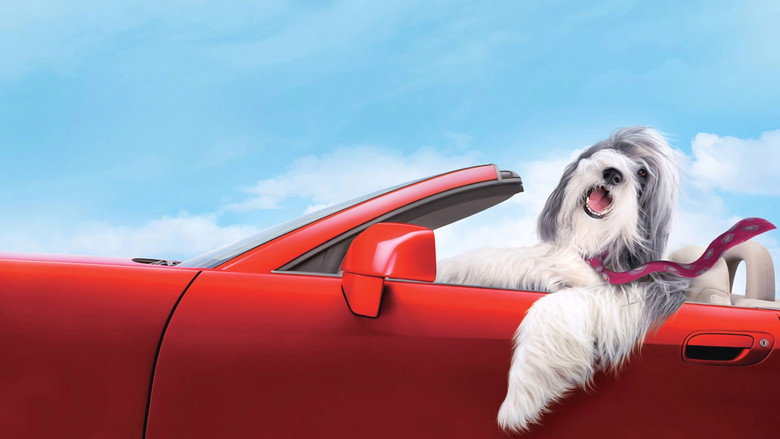 The Shaggy Dog still 2