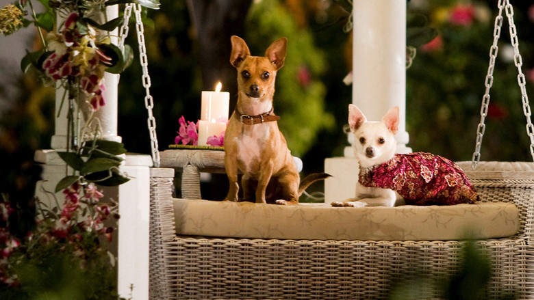 Beverly Hills Chihuahua still 5