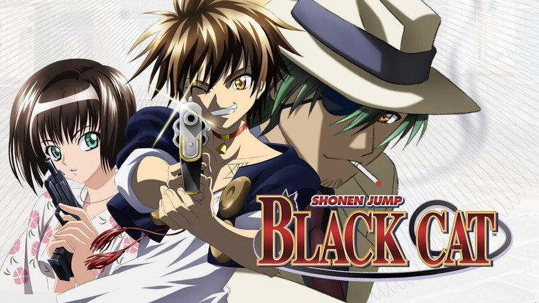 Black Cat still 6