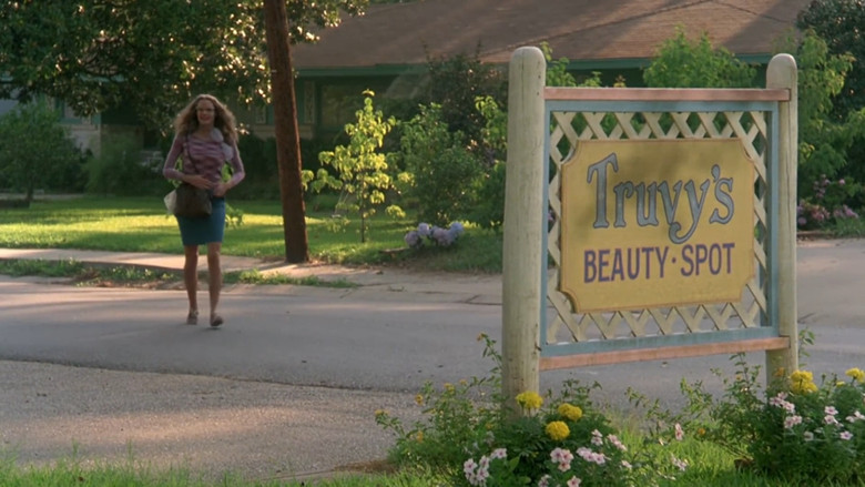Steel Magnolias still 4