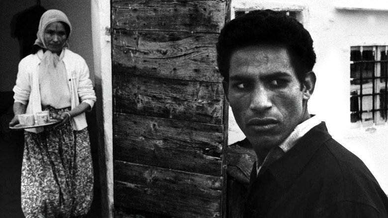 The Battle of Algiers still 1