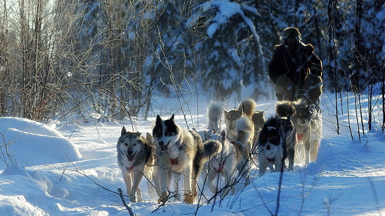 The Last Trapper still 1