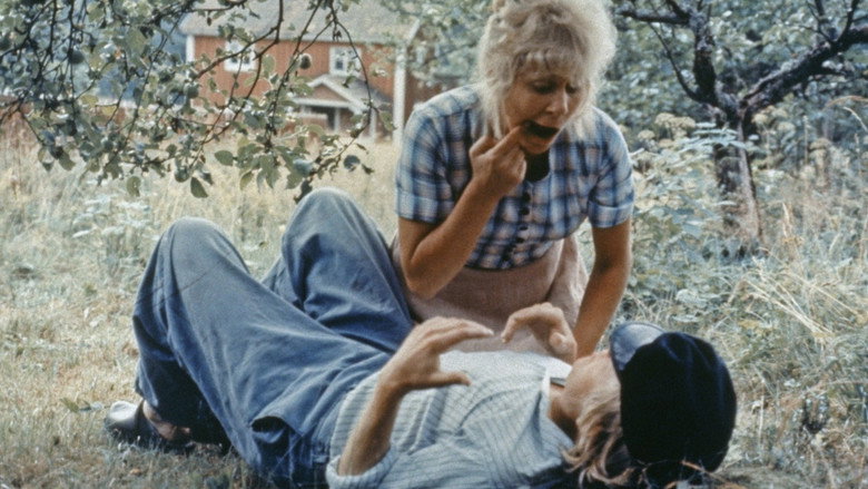 Emil of Lönneberga still 7