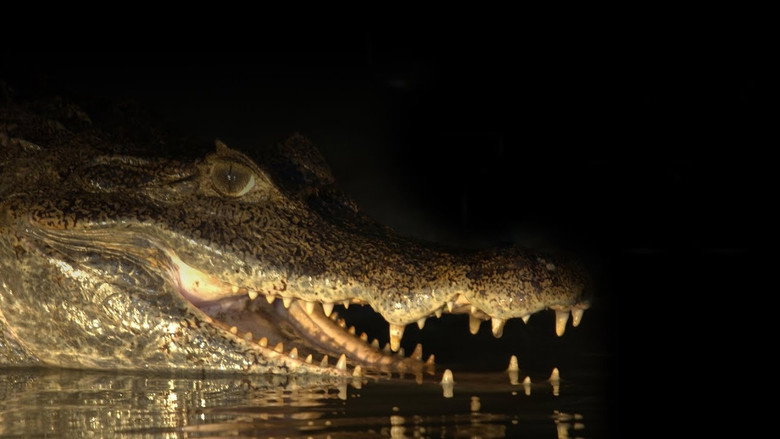 Capturing the Killer Croc still 1