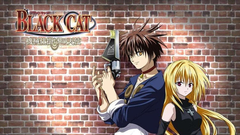 Black Cat still 8